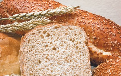 Panovite Tambuğdaylı Ekmek Miksi